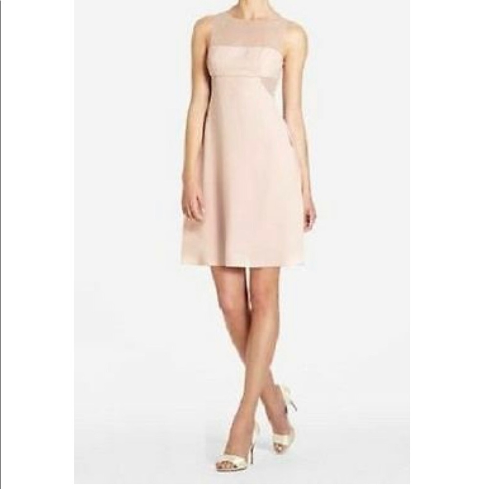 BCBGMaxazria Paris Pink Silk Dress